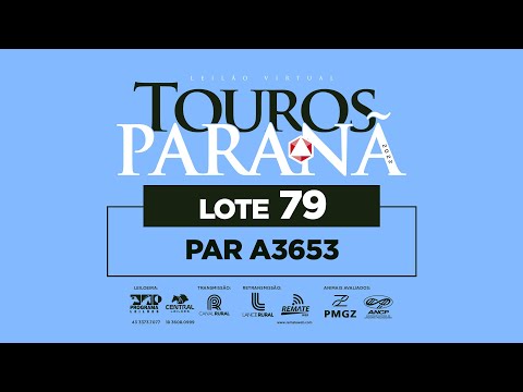 LOTE 79 PAR A3653