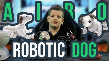 Aibo Sony Robotic Dog I Tricks & Commands