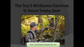 The Top 5 Wildgame Cameras To Scout Trophy Deer