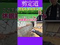 芝生がよみがえる　ここで差がつく刈り込み方法　 #剪定方法 #農業 #庭作業 #刈り込み #芝生 #初心者 #空き家 #ガーデニング