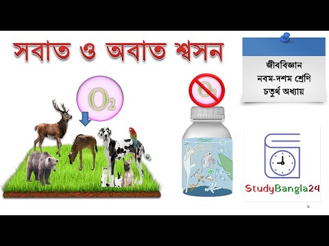 ভিডিও: NADH প্রতি সাধারণত কত ATP অণু উৎপন্ন হয়?