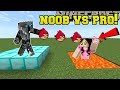 Minecraft: NOOB VS PRO!!! - ANGRY BIRDS! - Mini-Game