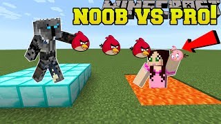 Minecraft: NOOB VS PRO!!! - ANGRY BIRDS! - Mini-Game