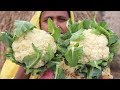 Village Food Cooking Farm Fresh Cauliflower in My Village Style Tasty & Delicious Cauliflower Fry