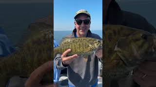 Take better fish pix #smallmouth #picturetaking #fishing #mercuryproteam #topdeckgear #smoothmoves
