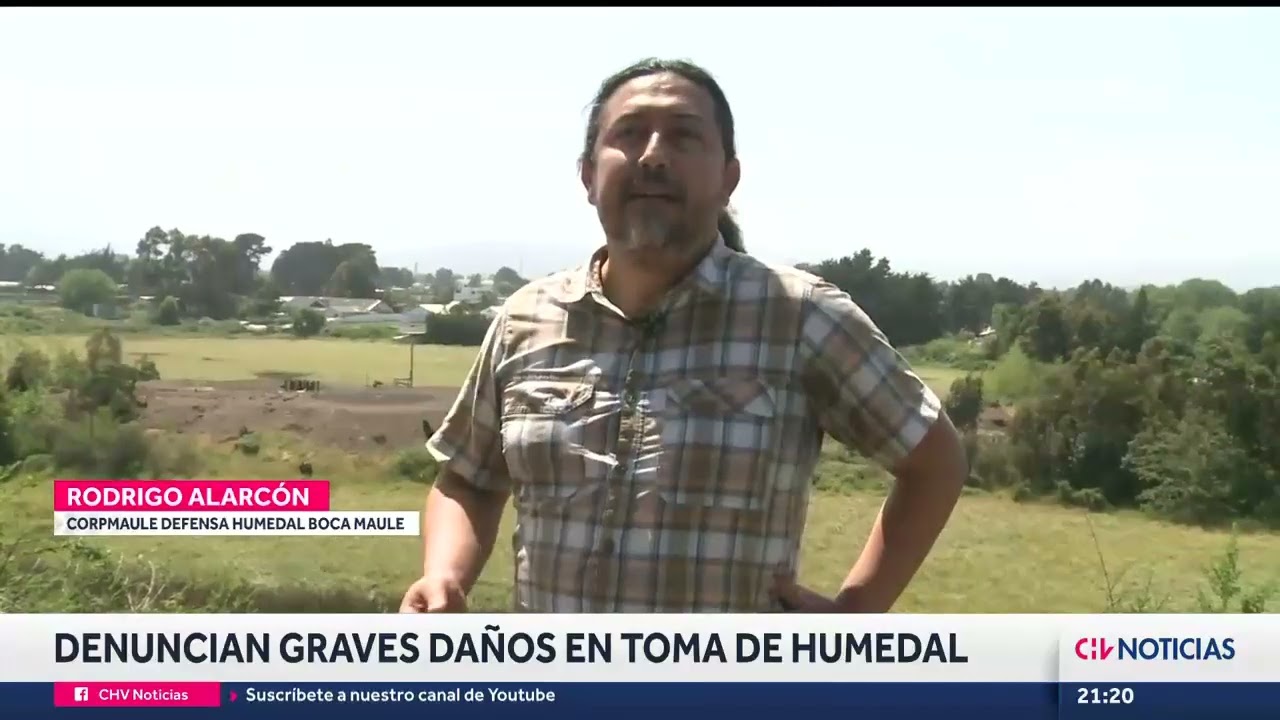 Denuncian trabajos ilegales en Humedal Boca Maule de Coronel - CHV Noticias