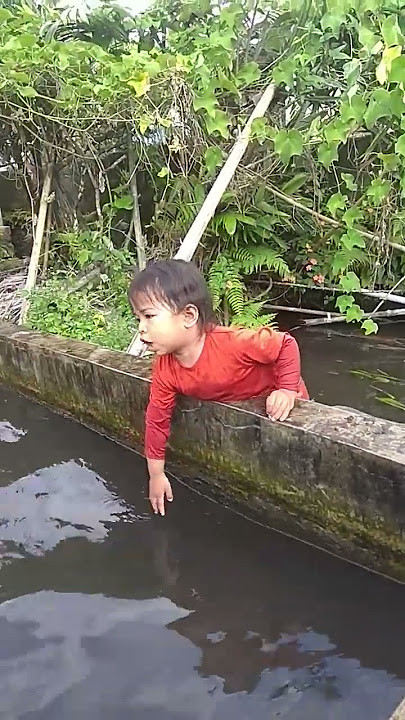 BAYI KECEMPLUNG KOLAM IKAN NILA #shortsviral #shorts #fypシ #videolucu #videokocak #help #viral