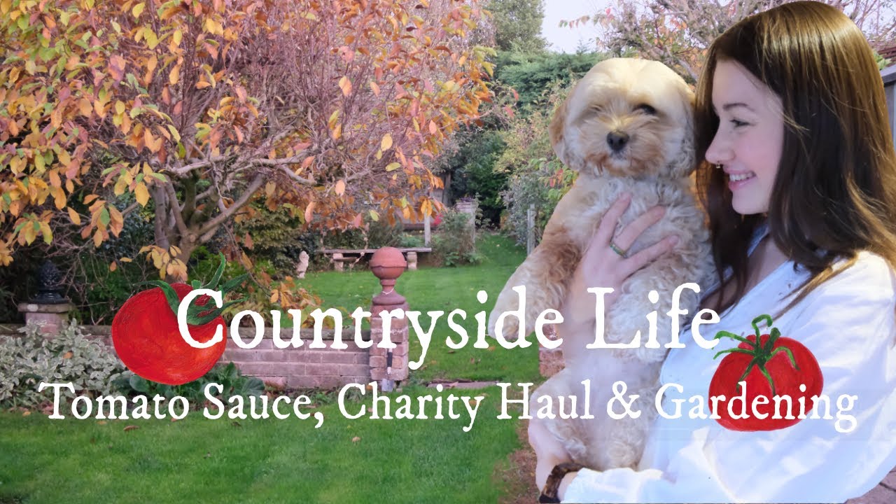 Harvesting the Last Tomatoes | Autumn Countryside Living - Cottage Life Vlog