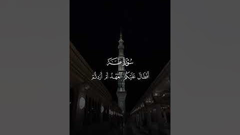 تلاوة ما تيسر من سورة طه للشيخ #محمد_برهجي حفظه الله بجودة عالية