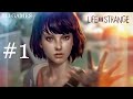 تختيم لعبة المغامرة Life is Strange 1 تختيم لعبة المغامرة Life is Strange 1