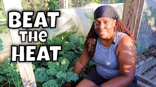 A Race Against the Summer Heat | A Morning in My Garden
