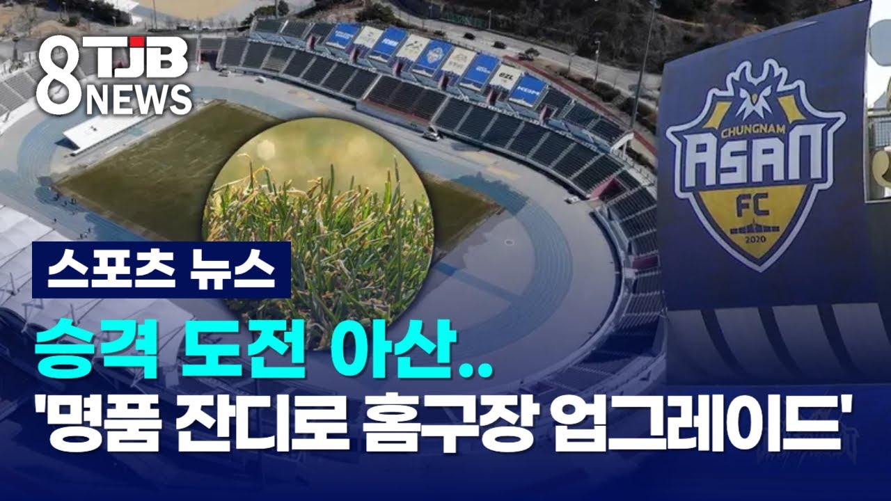 승격 도전 아산..'명품 잔디로 홈구장 업그레이드'｜ TJB 대전·세종·충남뉴스