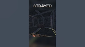 Very profitable raid in Strayed VR