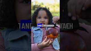 This Wasp Parasite Tortures Living Prey To Deathnatures Creepiest Horror