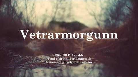 Vetrarmorgunn (2020) | Icelandic Video Art