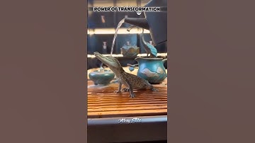 "How is it possible? 🤯😲 #shorts #illusion #ancient #temple #carving #india #ytshorts #3d #history