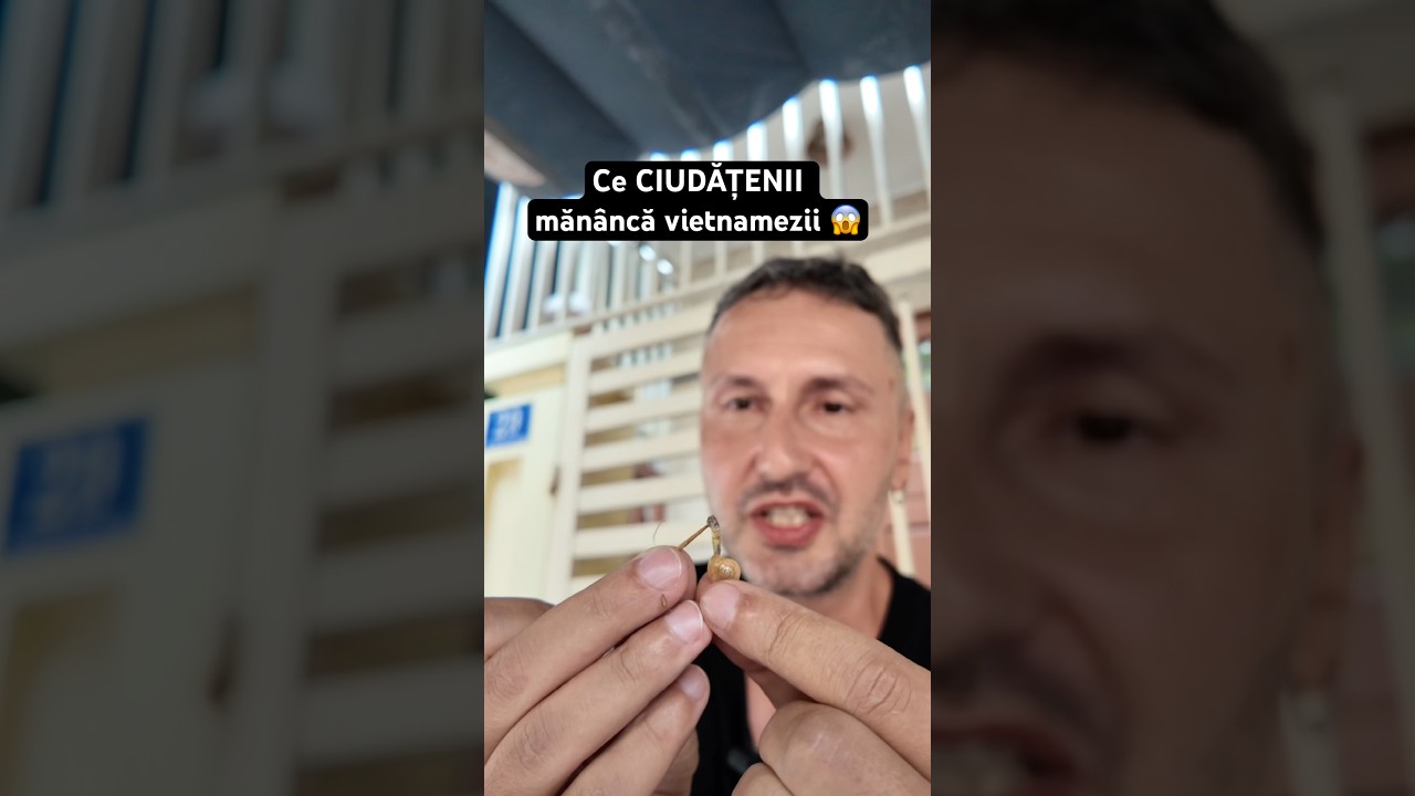 Ai mânca melci în loc de semințe? 🐌