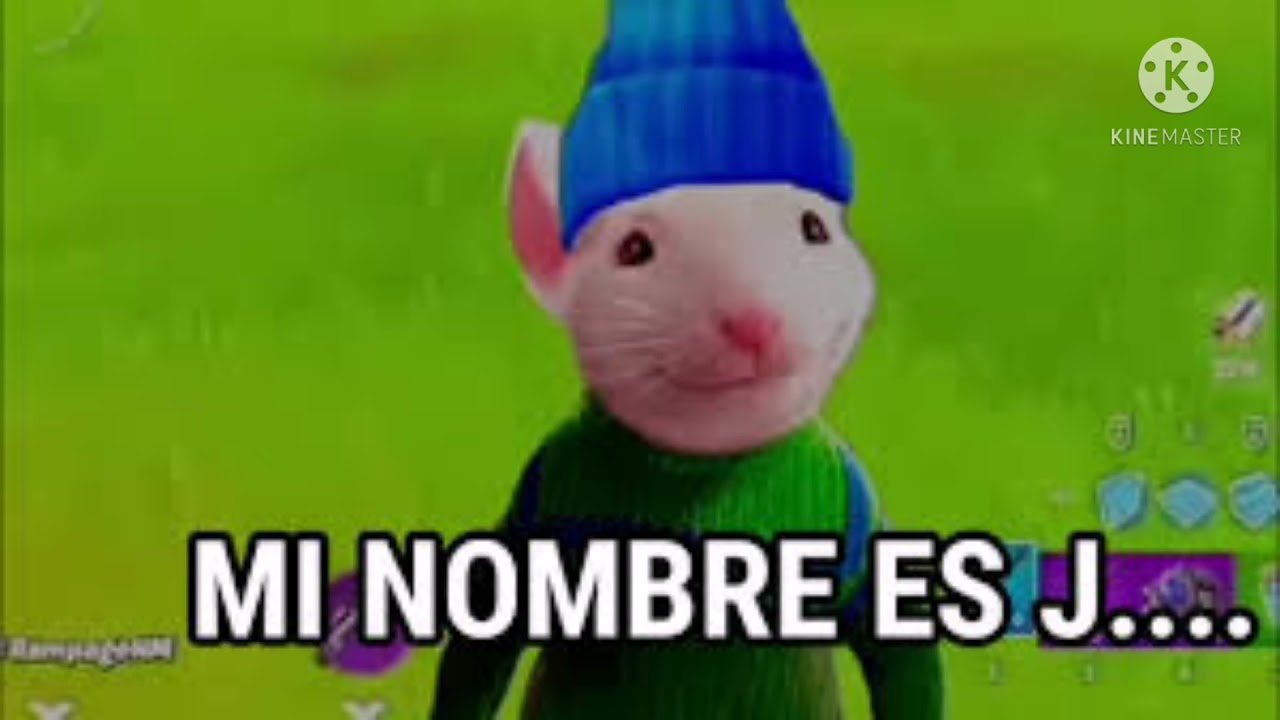 Jelty ala vencha Pa casita