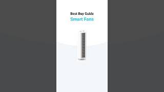 Smart Fans — Best Buy Guide