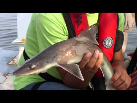 Introduction to the Hutton Junior Fisheries Biology Program