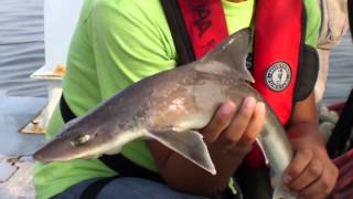 Introduction to the Hutton Junior Fisheries Biology Program