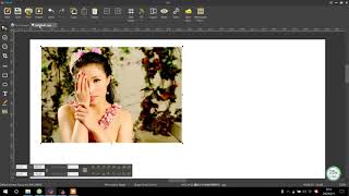 Color adjustment of Focus RIP software