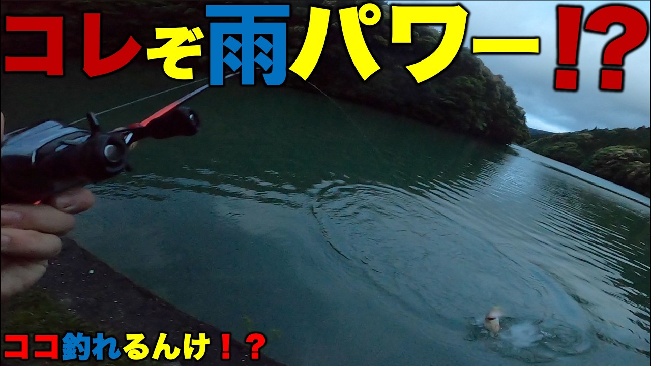 【バス釣り】コレぞ雨パワー言うヤツやで⁉️