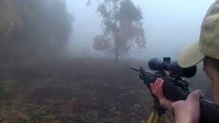 Blue Wildebeest Hunt with Mkomazi Hunting Safaris