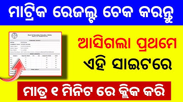 Odisha 10th Matric Result 2024 Website | How to Check Matric Result Through Mobile - BSE Odisha