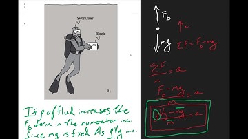 Free Response Answer: 2025 AP Physics 1 FRQ 4 Swimmer-block QQT