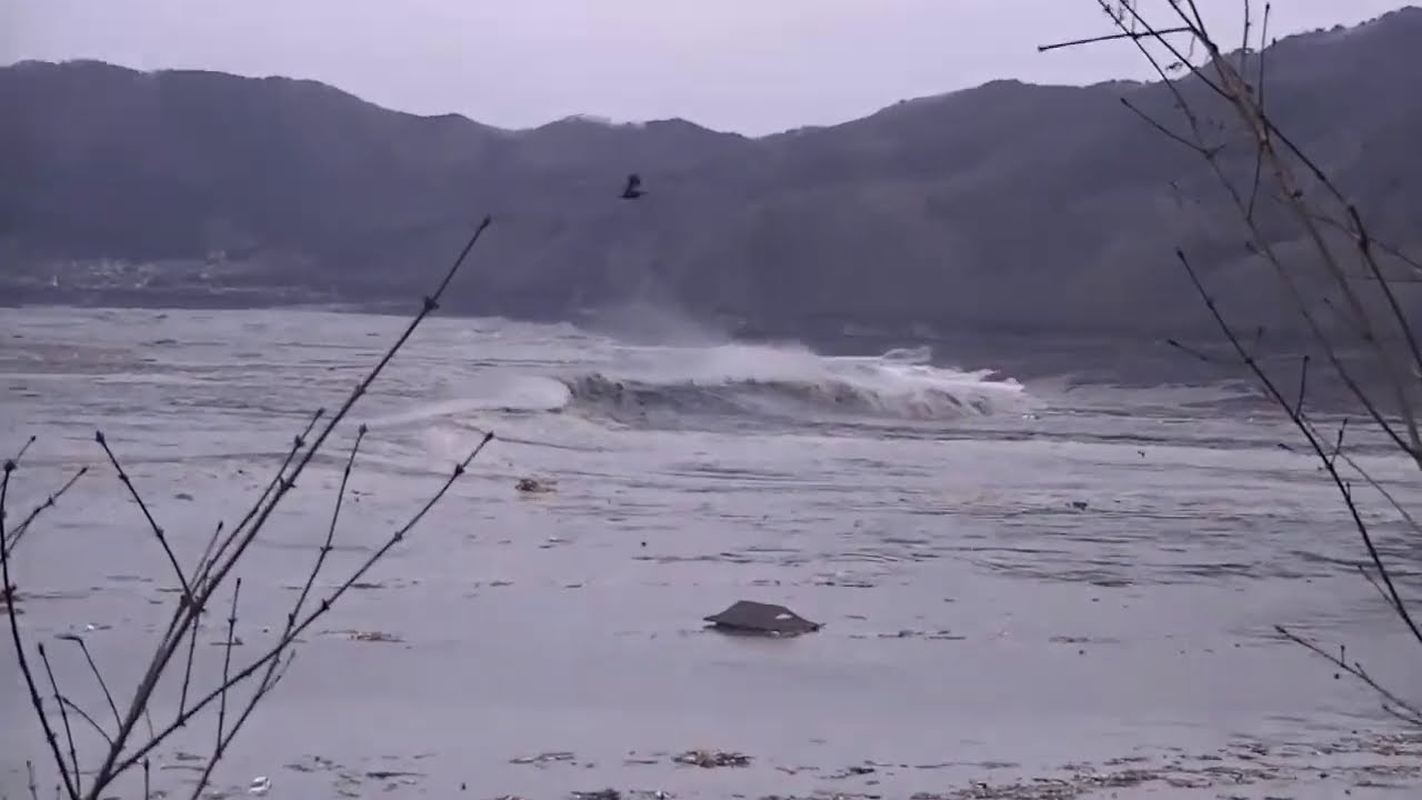 Sea Shepherd's Cove Guardians witness the tsunami in Otsuchi, Japan on March 11, 2011