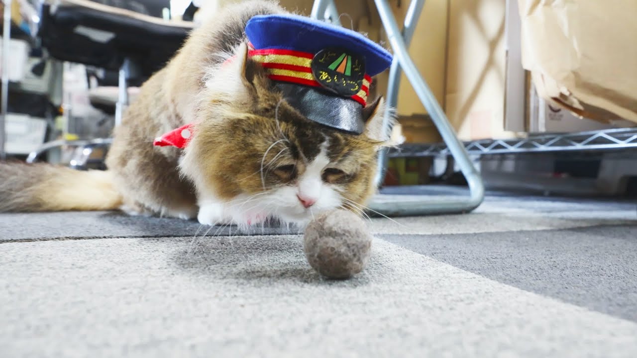 69 驚きのおもちゃだにゃ！「ふにゃ～り日和」 - YouTube