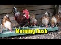 Morning Rush May 2019