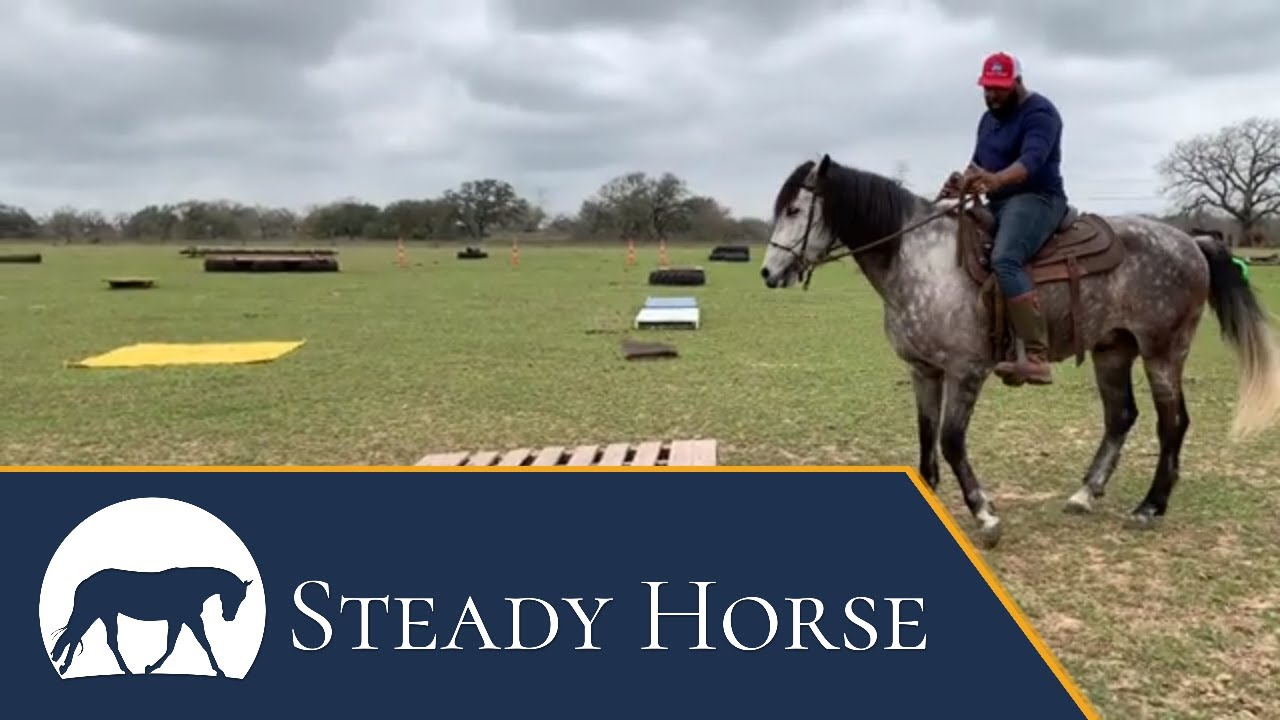 the TeeterTotter Obstacle YouTube