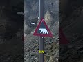 O lugar onde o sol NUNCA desaparece #curiosidades #shorts #viral #sol #frio