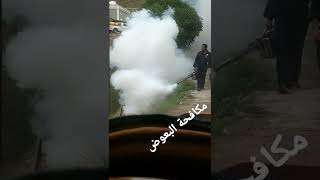 مكافحة البعوض جبل #فيفاء#