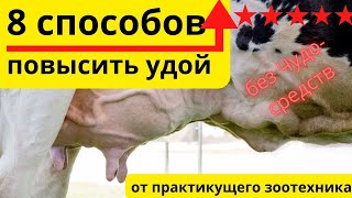 8 способов поднять удой коровы, как повысить удой #увеличитьудой