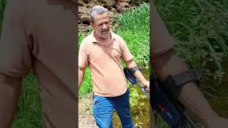 descobrir uma jazida de ouro com detector de metal