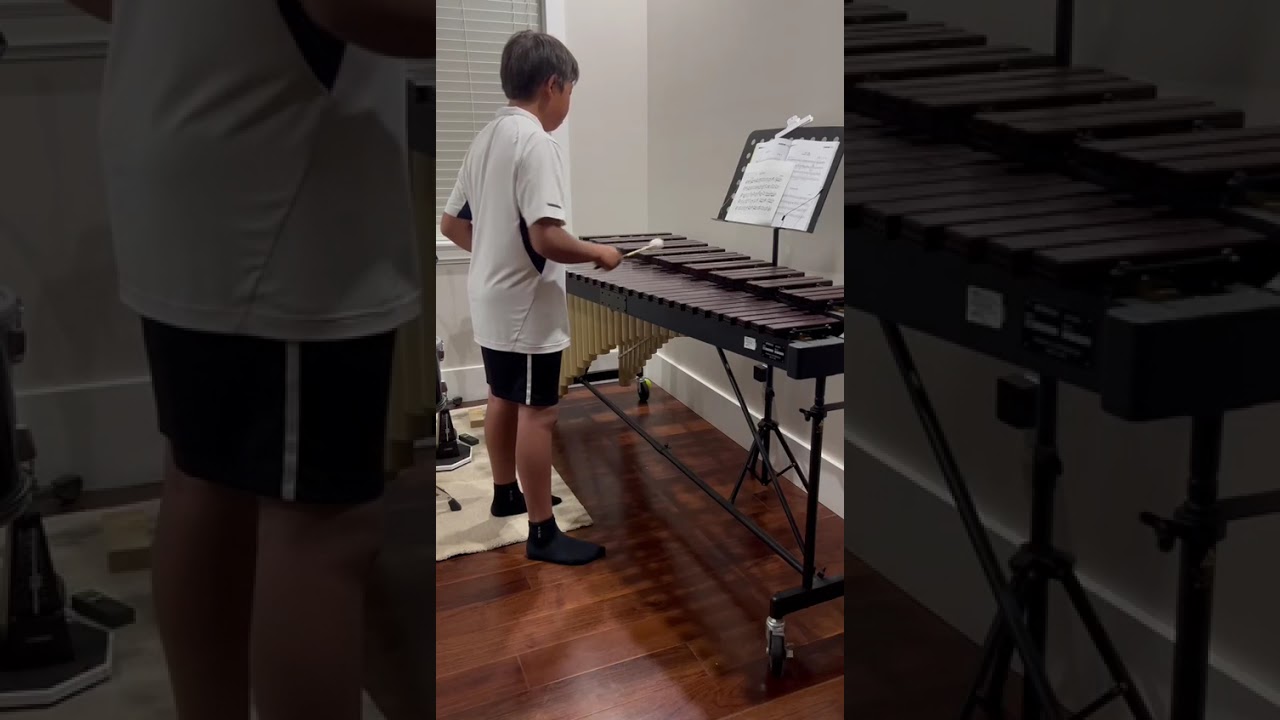 Lucas Xu VAMSO Audition-new