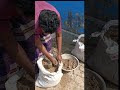 বস্তা পদ্ধতিতে ওল চাষ #bag #agriculture #farmer #shorts #unic