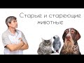 Старые и стареющие животные