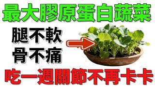 別再花錢買膠原粉！這種菜天然又便宜，效果強10倍，連醫師都驚呼！#膠原蛋白 #關節不卡卡 #膝蓋保養 #健康