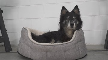 SmartBench | Bring In CNC