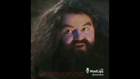 Episodul 50 (viaţa la cămin partea a IV)
