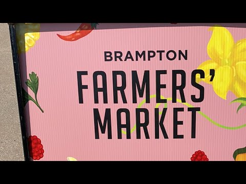 Brampton Downtown Framer’s Market Fest(Canada)