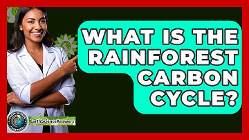 What Is The Rainforest Carbon Cycle? - Earth Science Answers