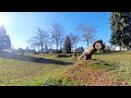 Quick day at the park
