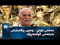 دەشتی بتوێن وەرزی پێگەیشتنی بەرهەمی گوڵەبەڕۆژە دەشتی بتوێن وەرزی پێگەیشتنی بەرهەمی گوڵەبەڕۆژە