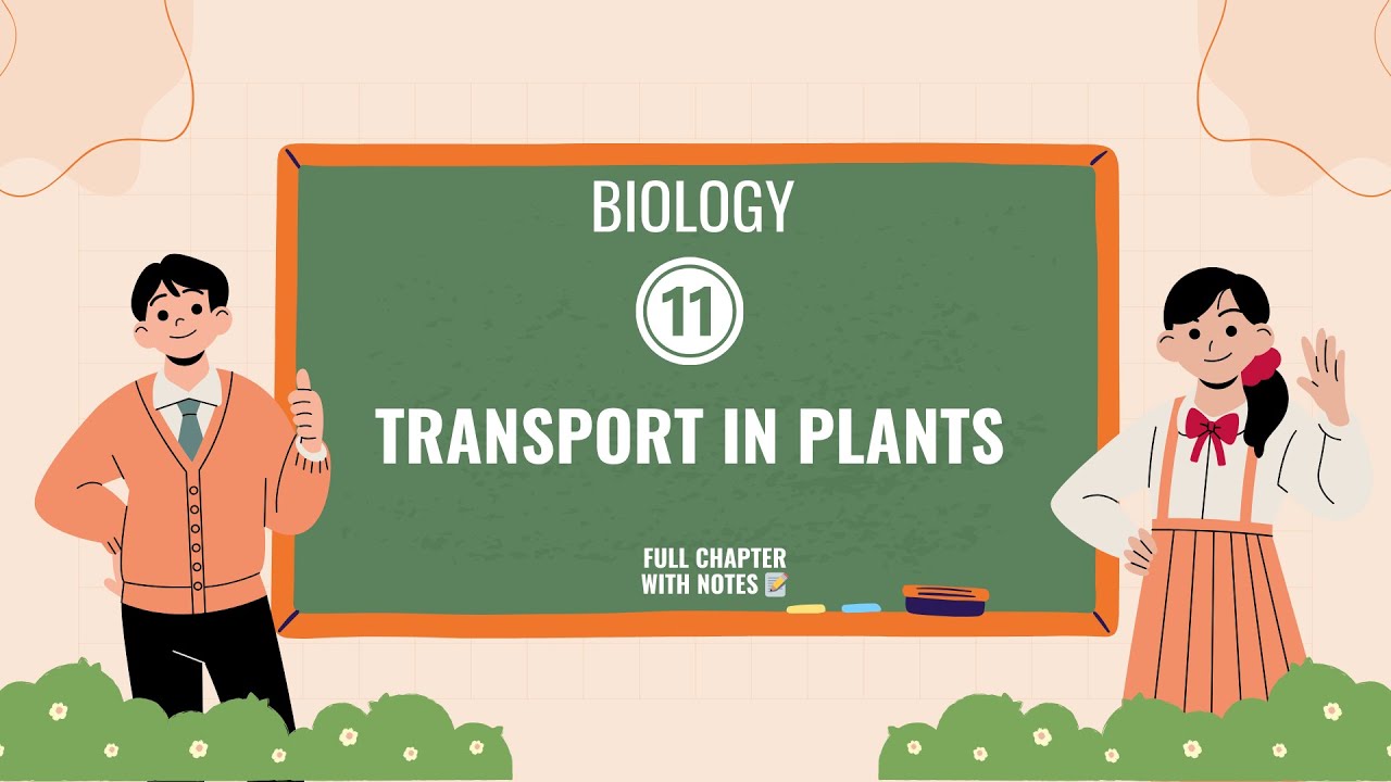 Transport in Plants! | Class 11 | NCERT Class 11 Biology | CBSE 2024 | 