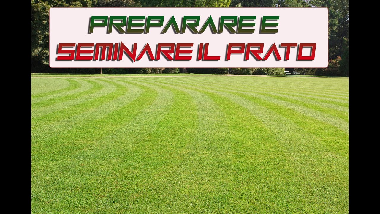 Preparare e seminare il prato youtube Preparazione terreno per semina prato